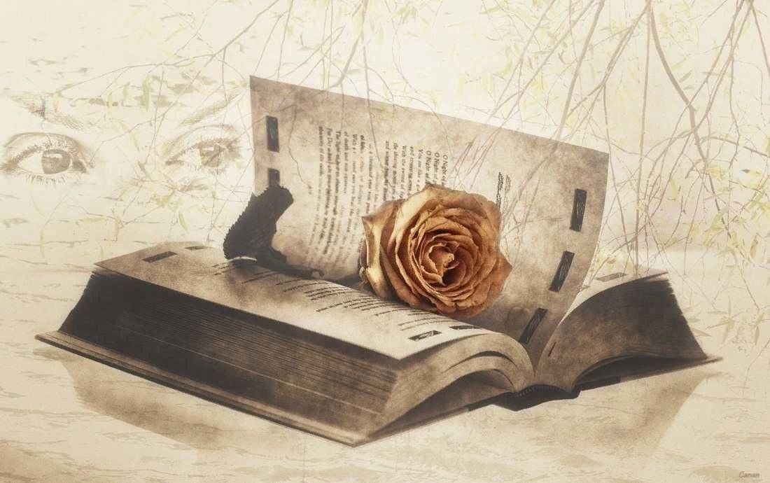 Срез Общества