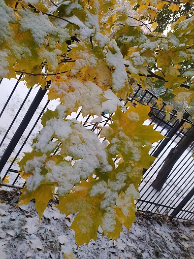 Репетиция зимы