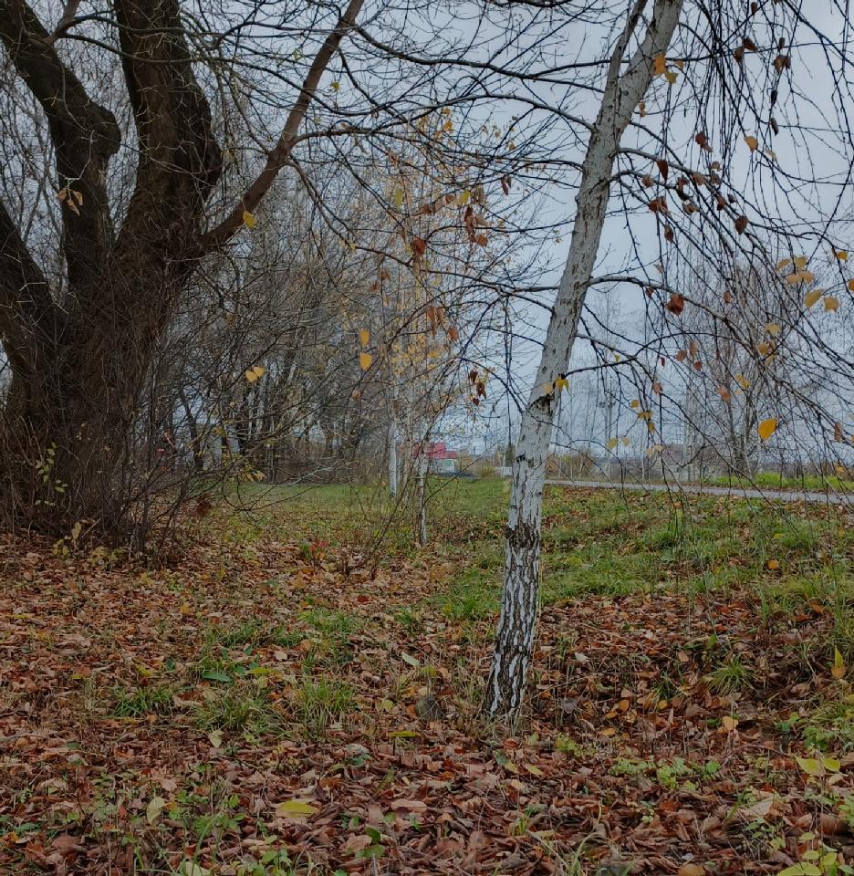 Путь прошли с тобою мы не зря