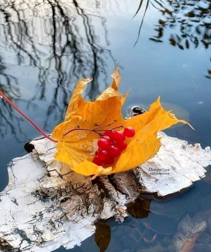 Как кораблики грусти