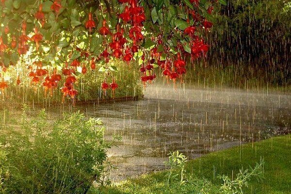 При каждодневной суете сует...