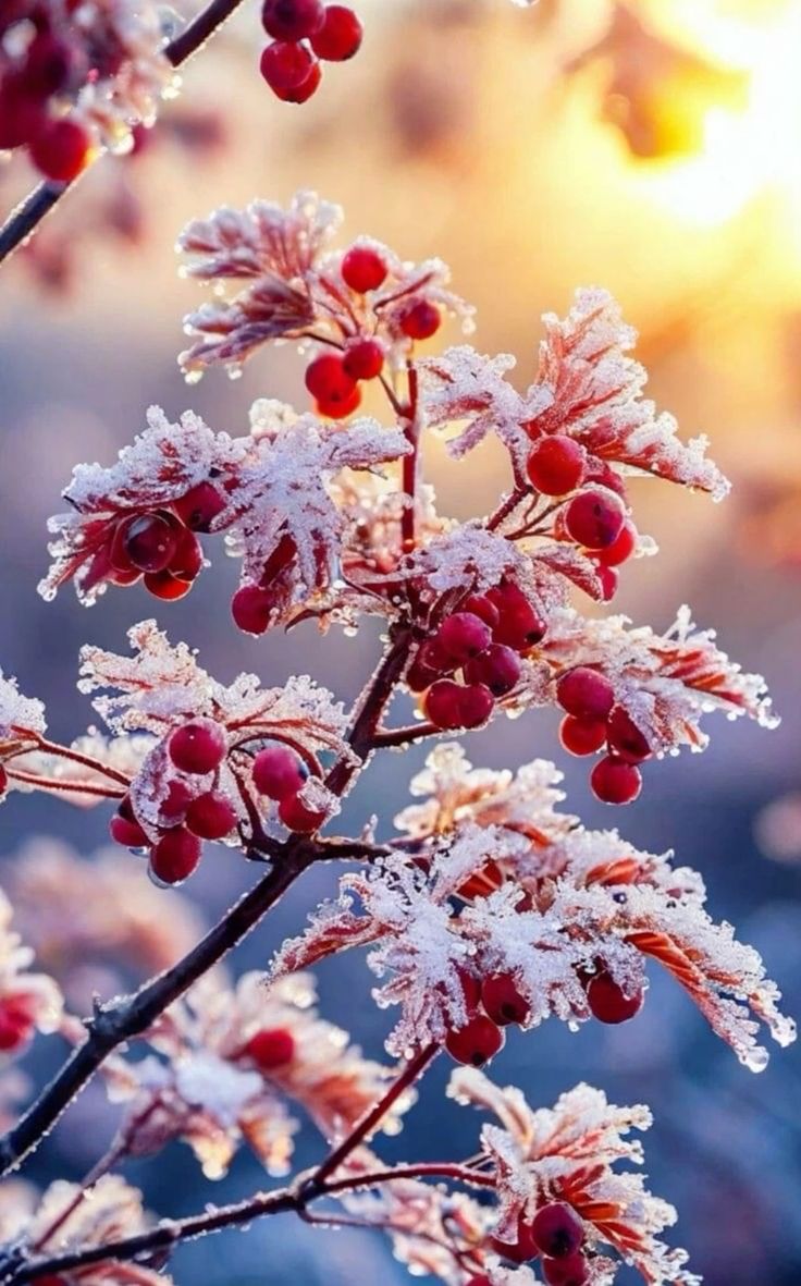 Привет тебе, предвестник ноября!