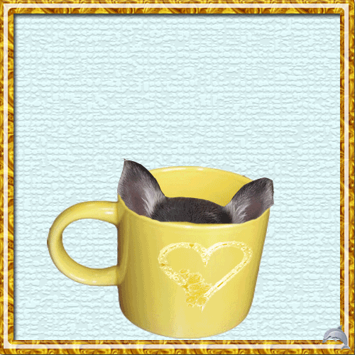 Сюрприз - из кружки