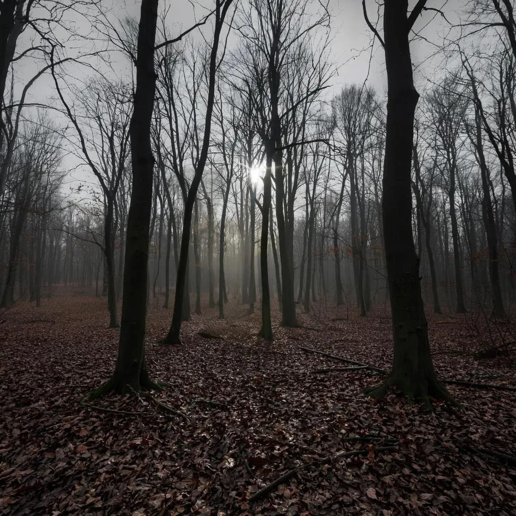 Поздние листья