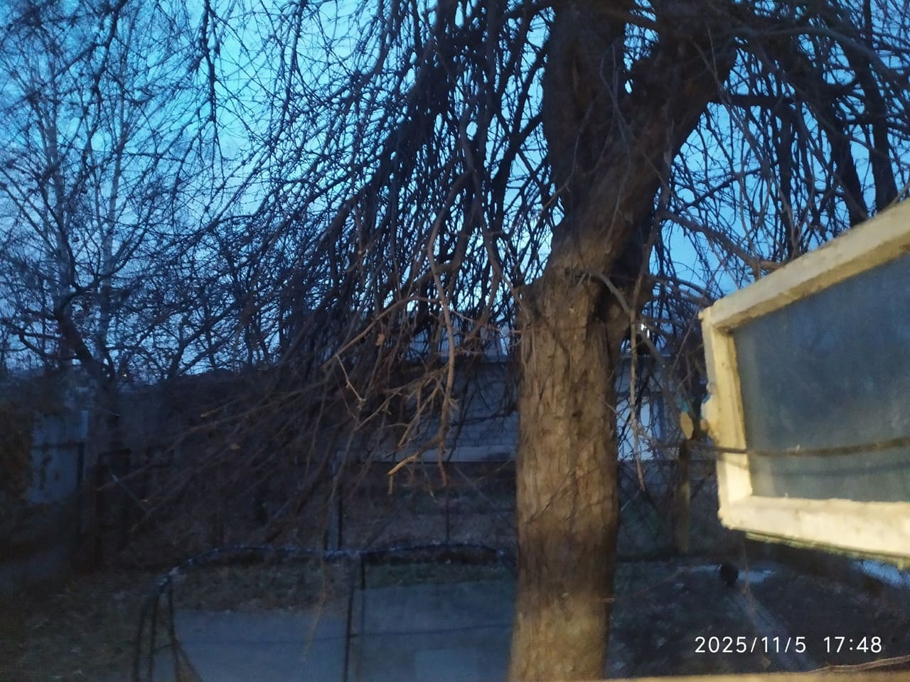 Зима на пороге