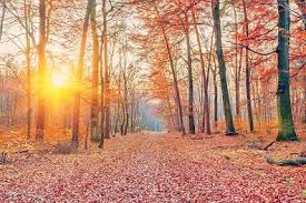 Этот мир для тебя...