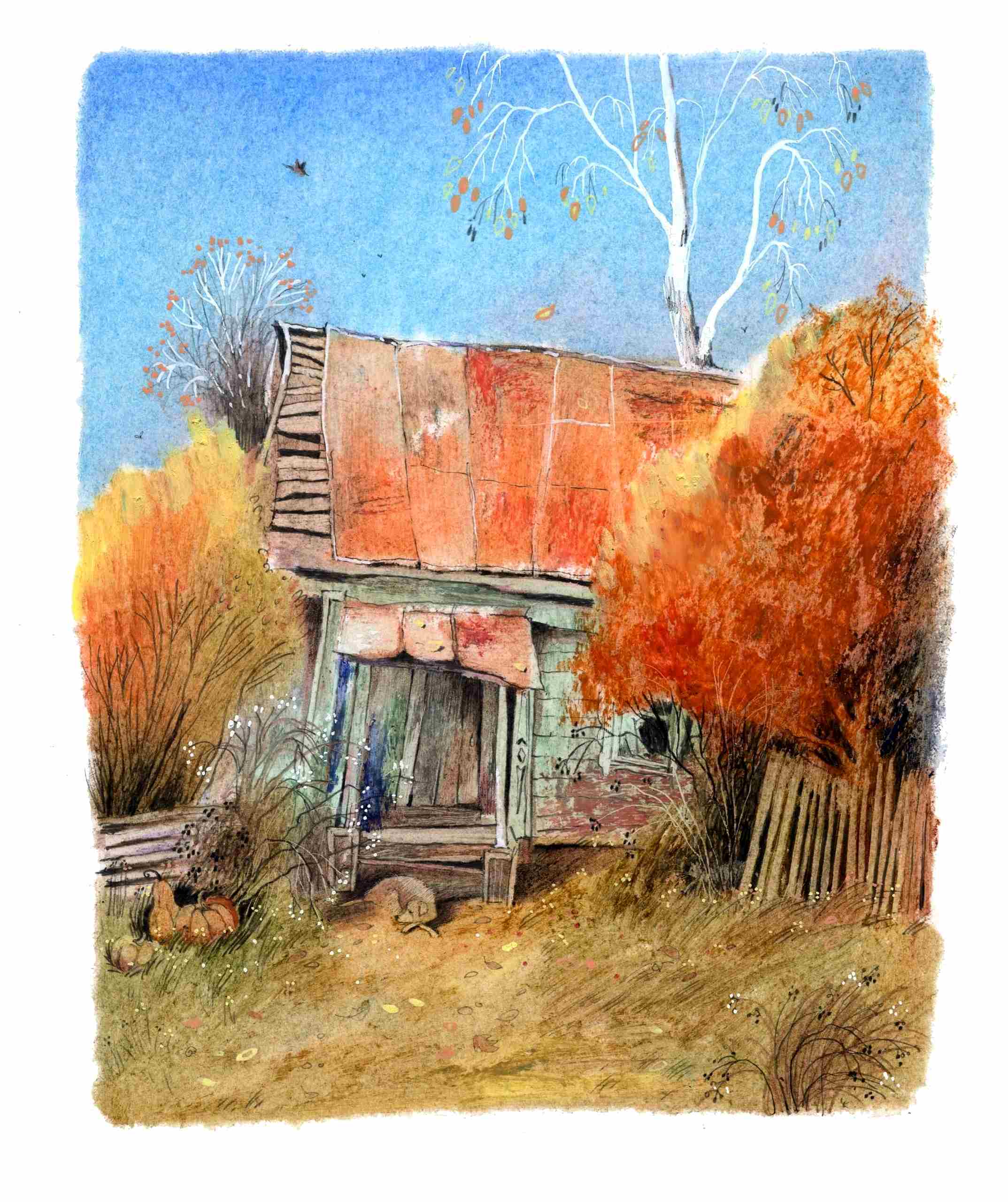 Цвет огневой