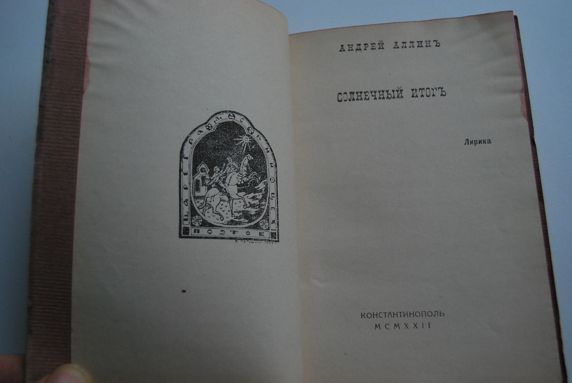 Поэт Андрей Аллин