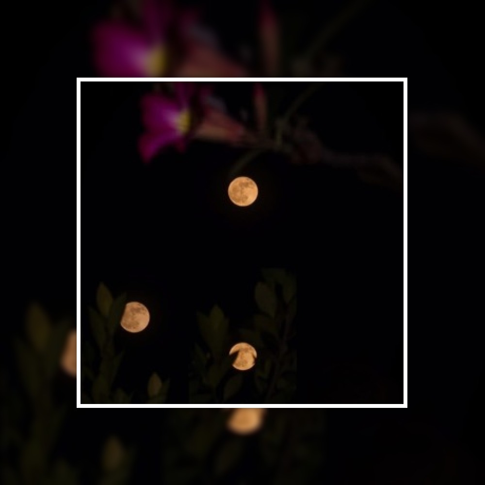 Нельзя познать умом