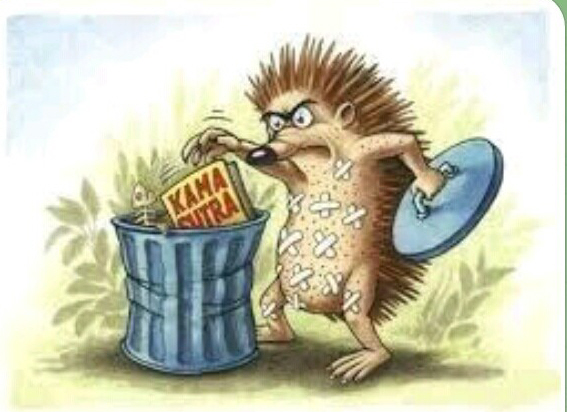 Доброе утро