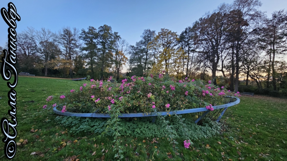 Секрет радости