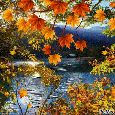 Берег сокрытий...