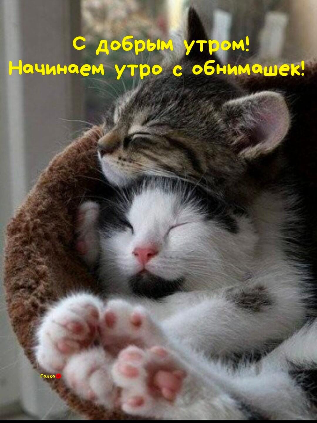 Ощущениями