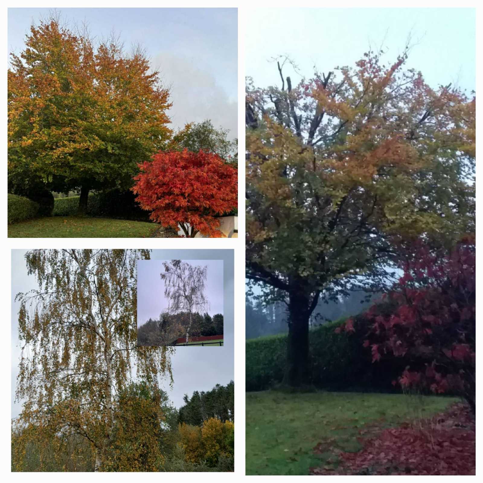 Осенние переливы