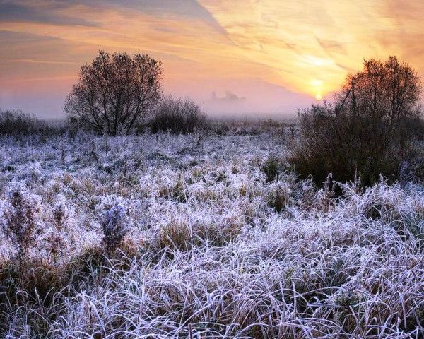 Осенняя колыбельная