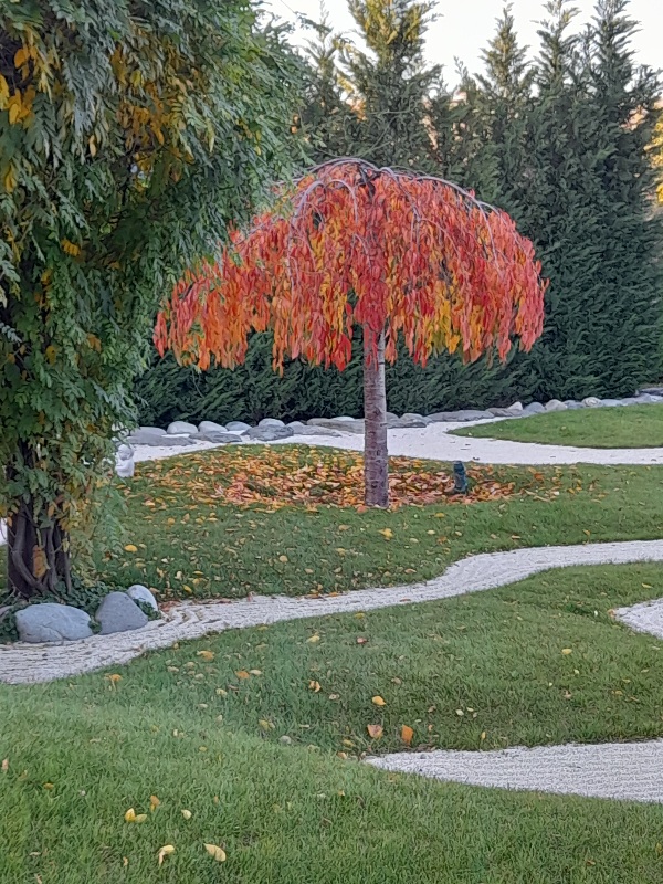 Ведь на дворе уже ноябрь