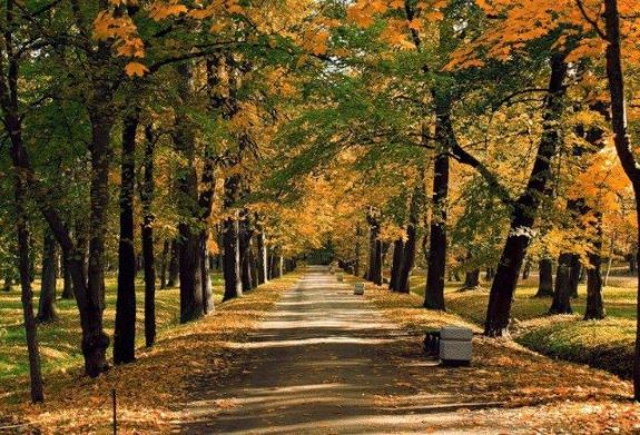 Осенний вальс