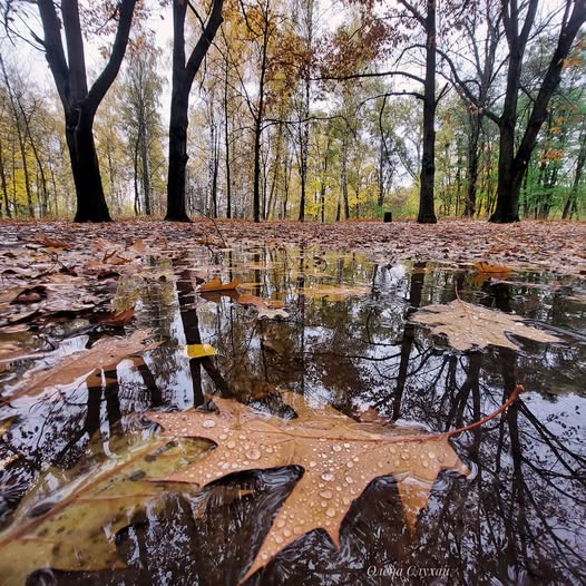 Слушаю дождь