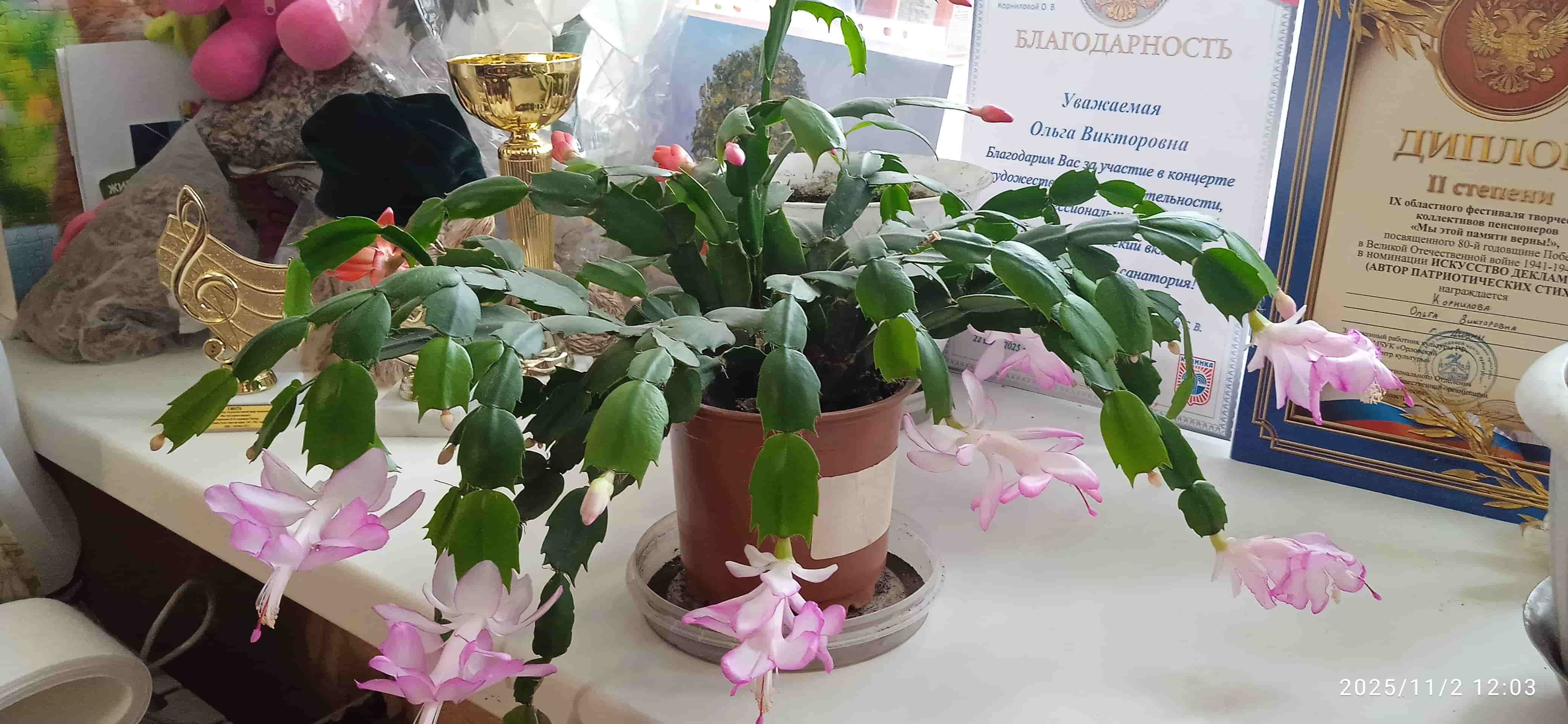 2688 - Ноябрь пришел