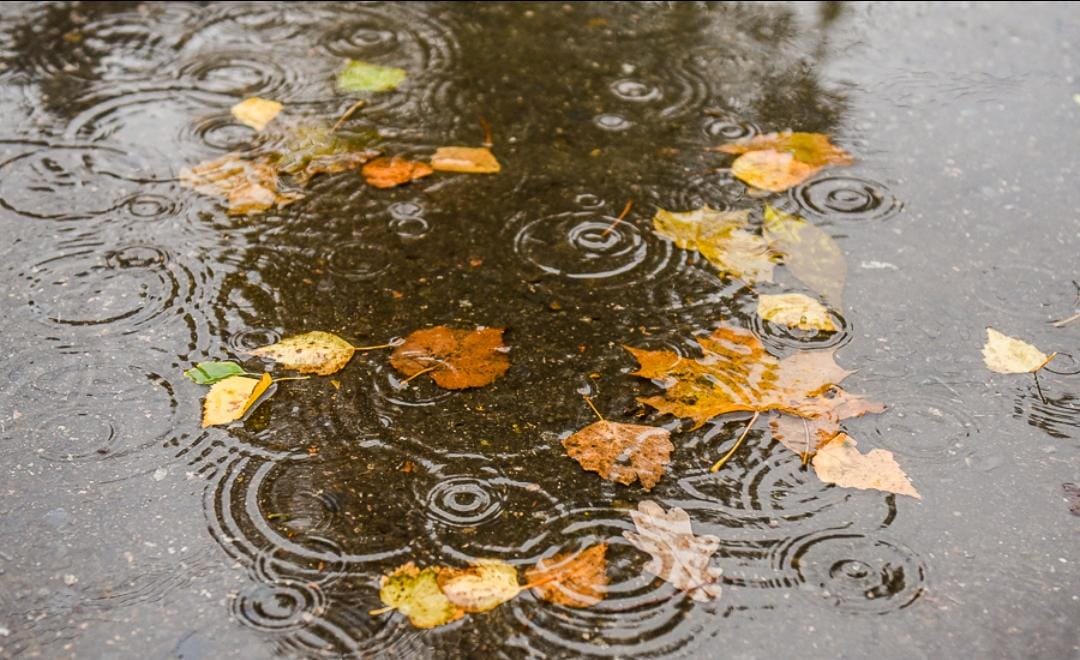 Слегка рассвет коснулся горизонта...