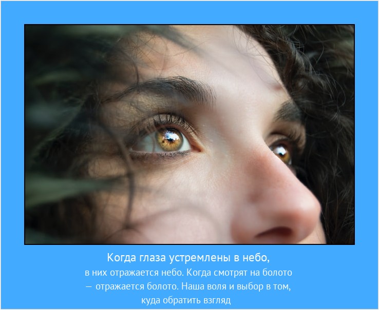 Полётная мечта