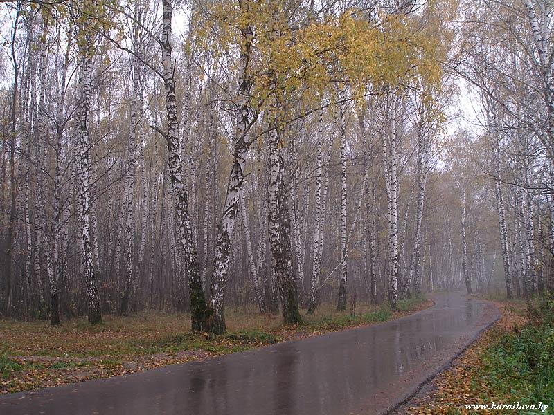 Пускай, ноябрь, он сырой