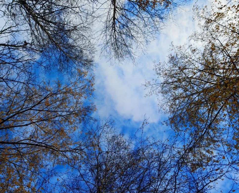 По-хозяйски