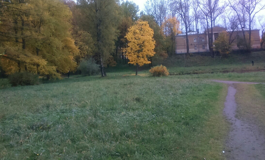 Ты мой осенний, из сиянья сентября...