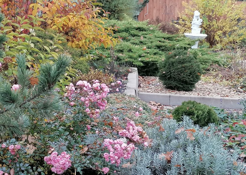 Осенний сонет