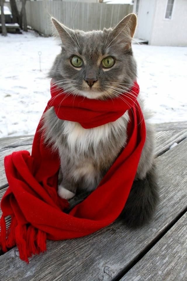 с праздником!