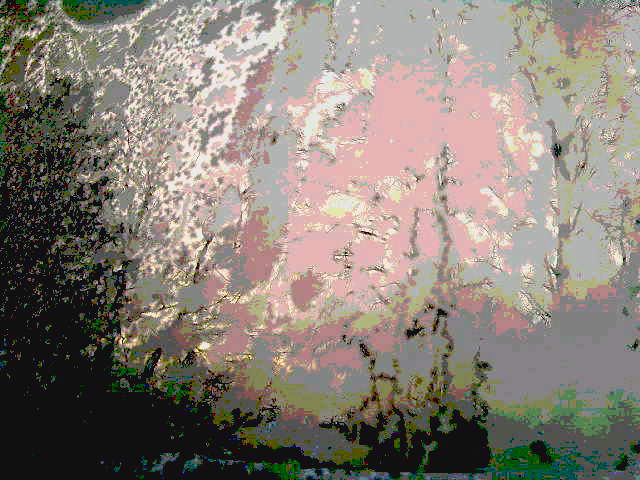 Я бродила по тусклому полю