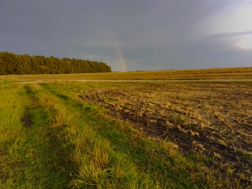 К финишу движется осень с разбега