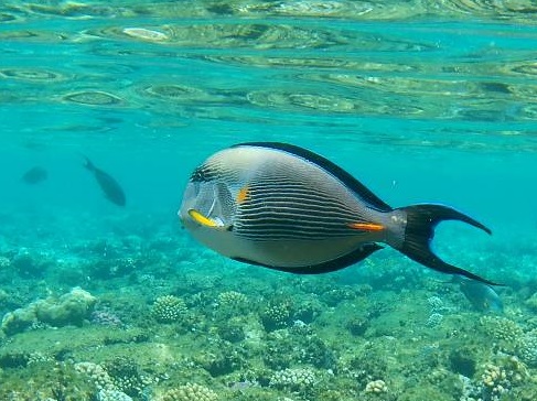 Мне бы даром благодать