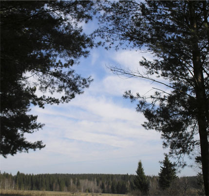 Торопится алчность, пихается