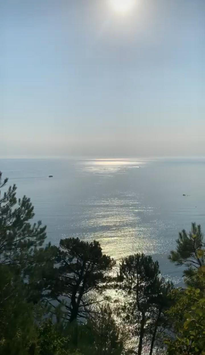 За нами только выбор