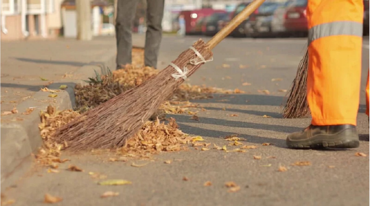 Ландшафтный дизайнер, сынок!