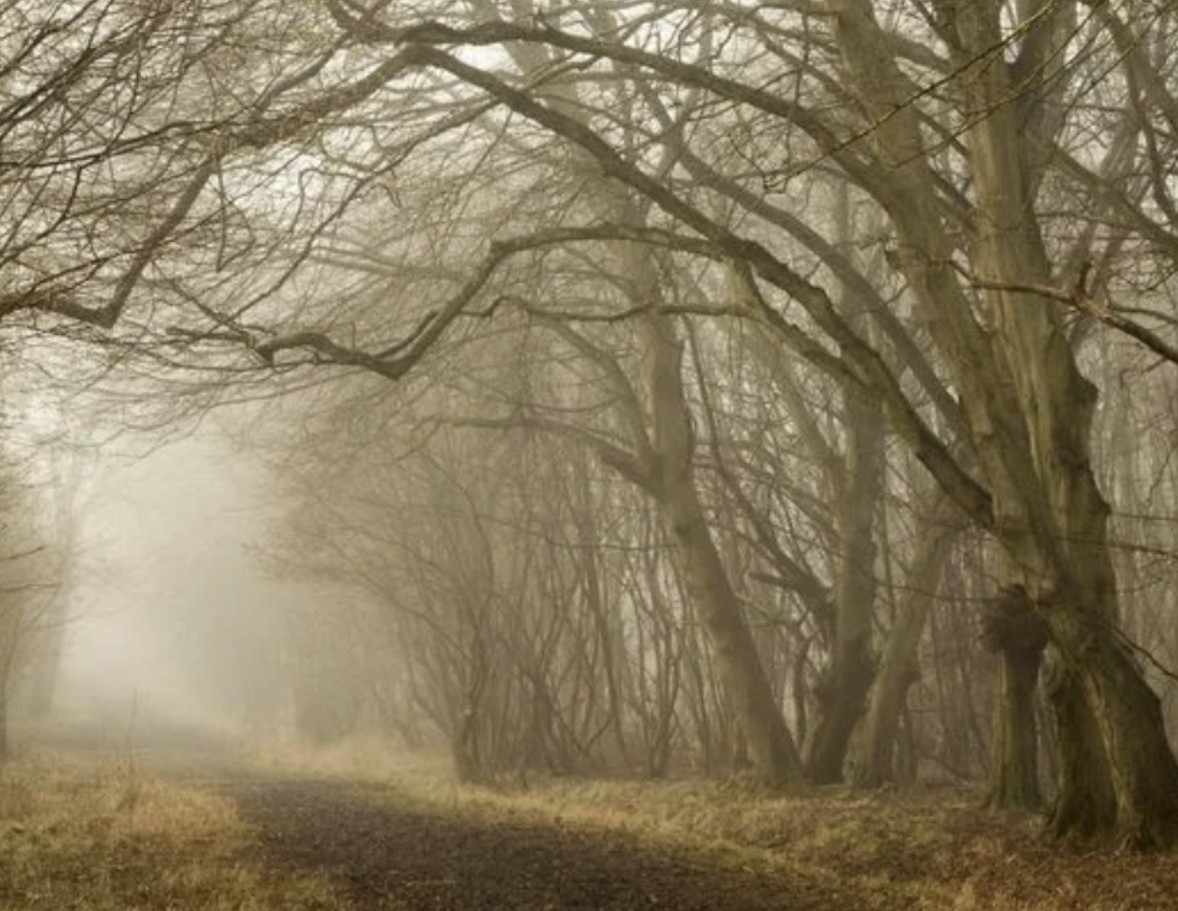 Голый ноябрь