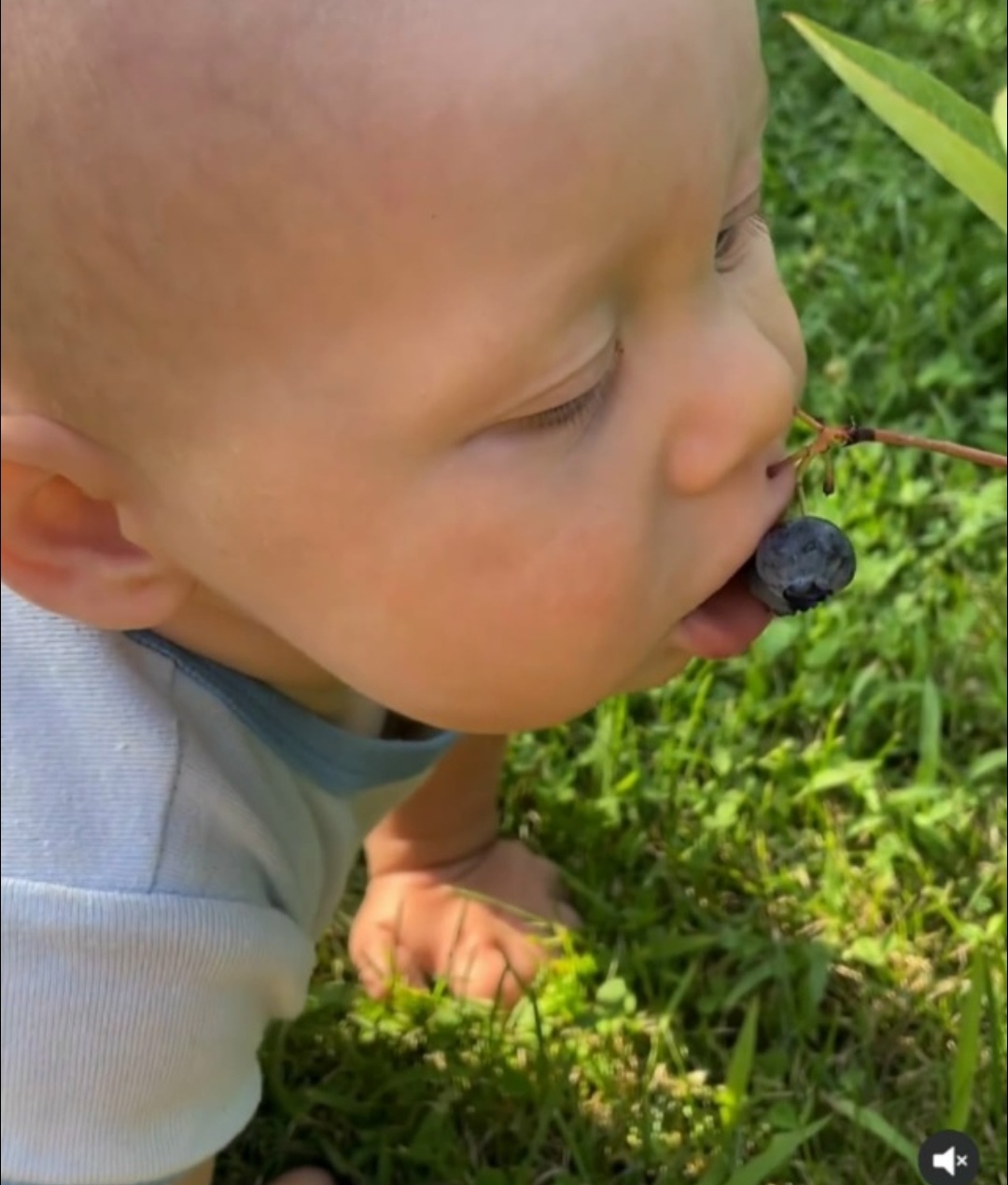 Маму бы инфаркт хватил