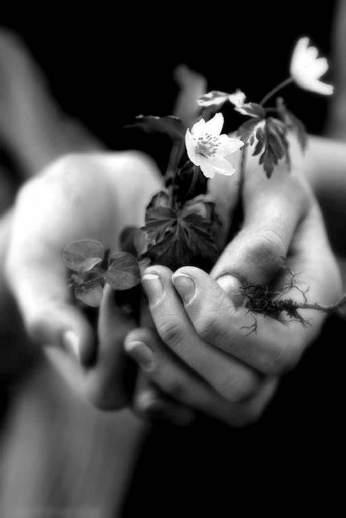 Веры в себе никогда не теряй