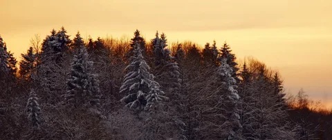 Ноябрьский день