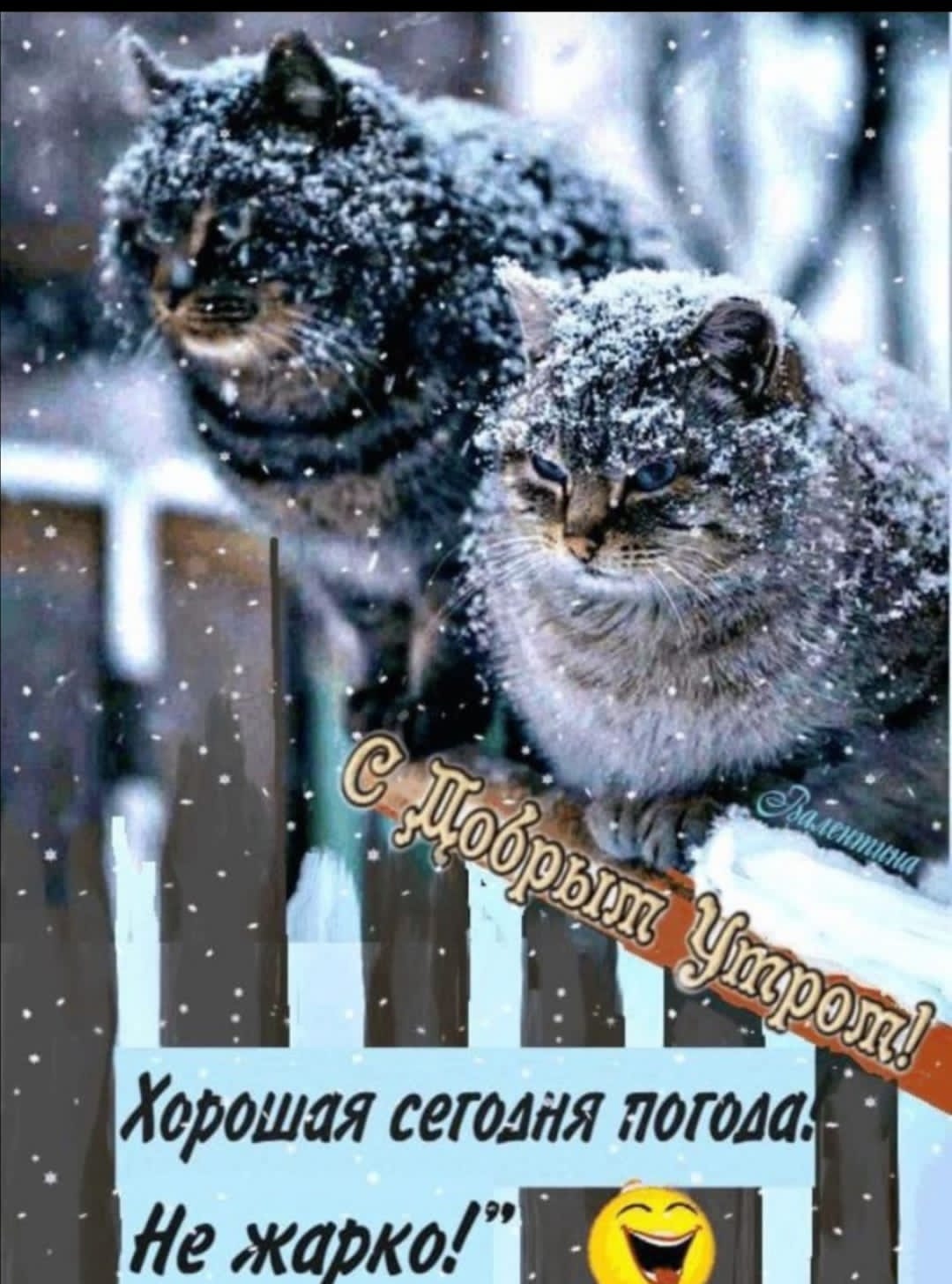 Всему своё время...