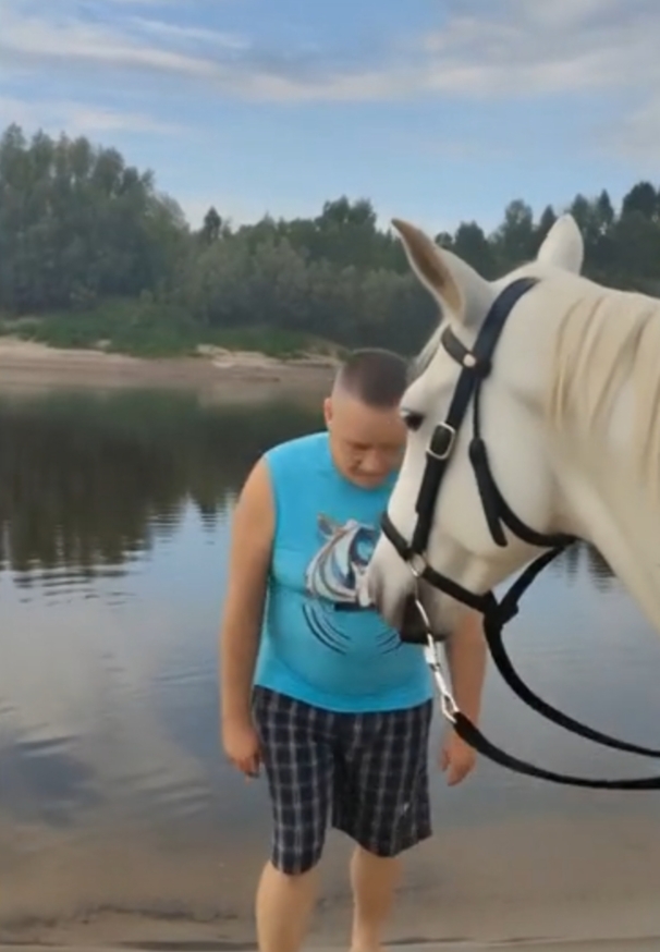 Конь в яблоках