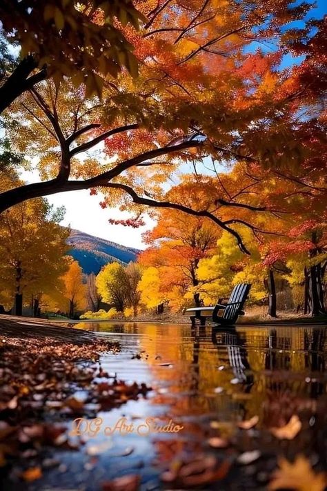 За окном Ноябрь!