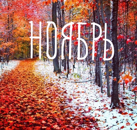 Ноябрь входит в полноправные права