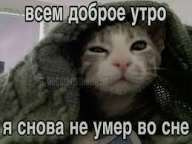 Как хорошо уйти во сне