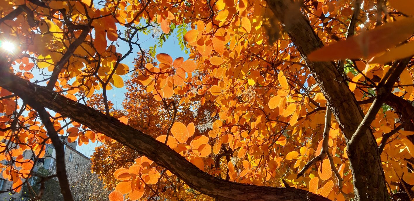 В плену чрезмерных ожиданий