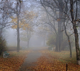 Дождь, словно слёзы...