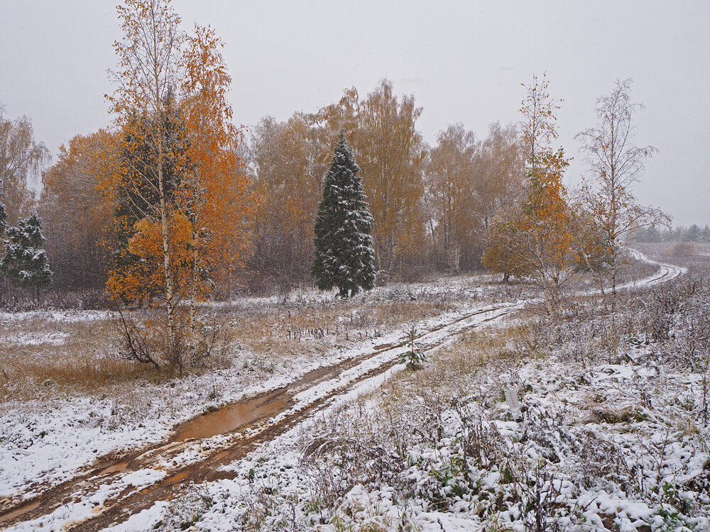 Ноябрь к кузнице идёт