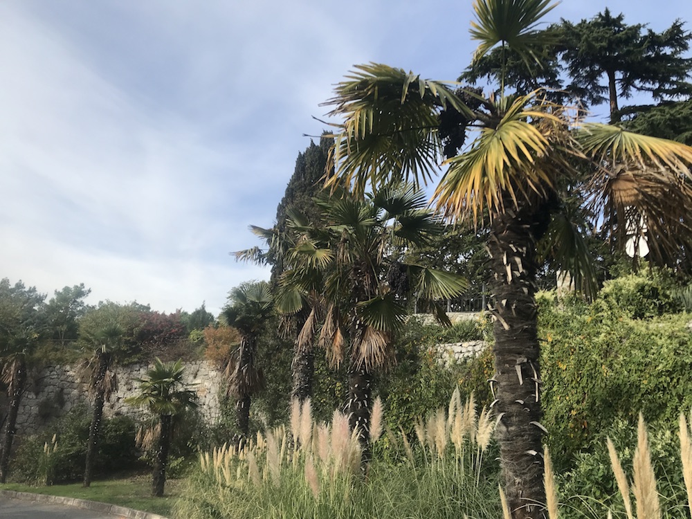 Ботанический сад Никита