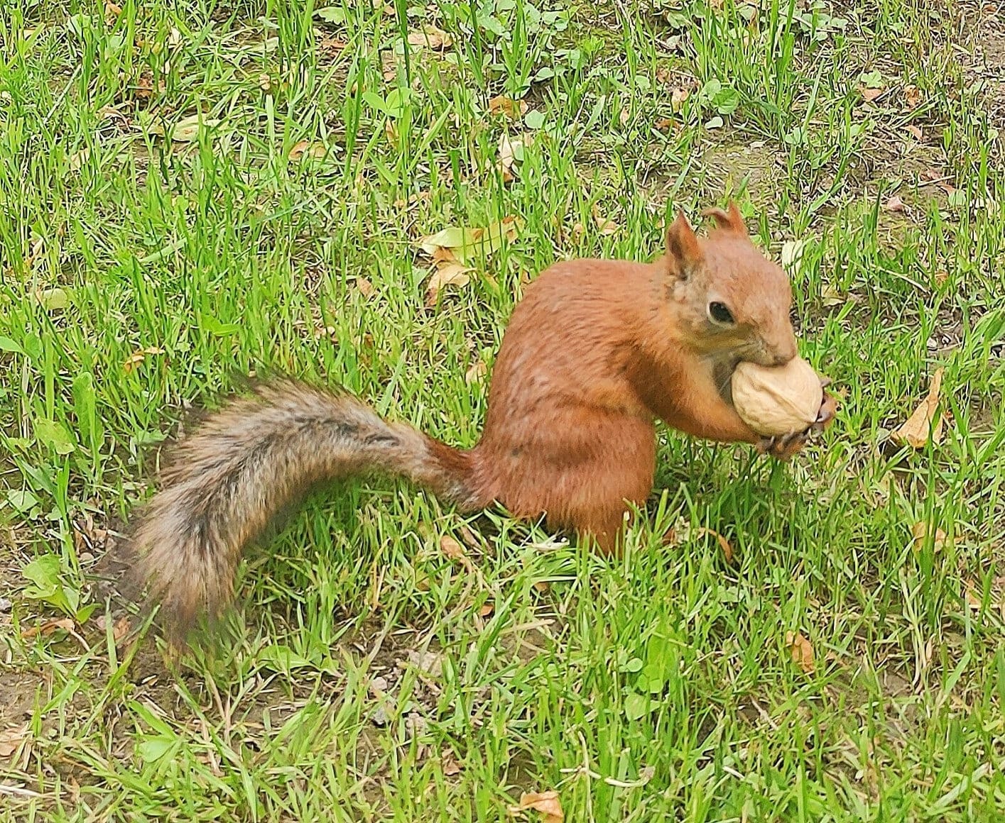 Гордыня - скорлупа души